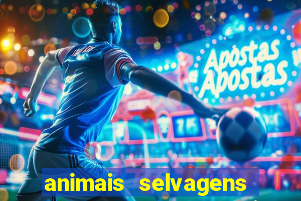 animais selvagens fotos e nomes